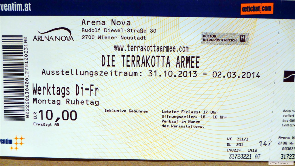 20140219 ZV Junggeb Terrakotta 085