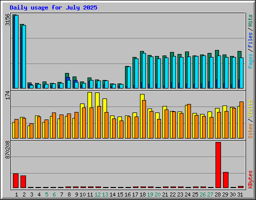 Daily usage for July 2025