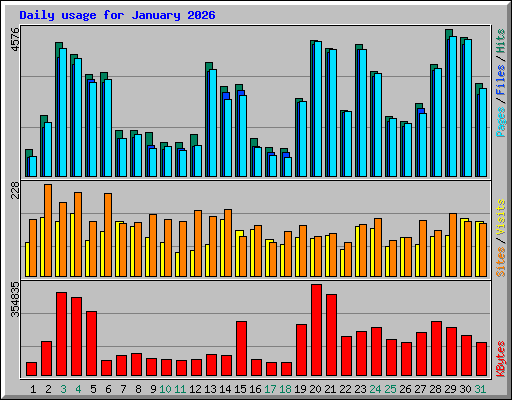 Daily usage for January 2026