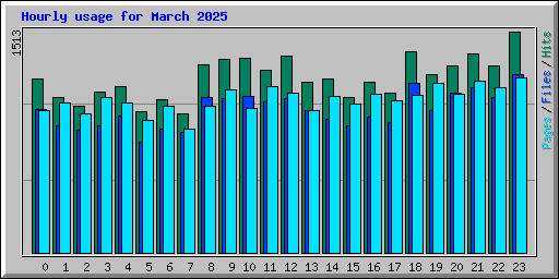 Hourly usage for March 2025