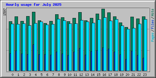 Hourly usage for July 2025