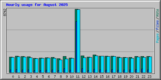 Hourly usage for August 2025
