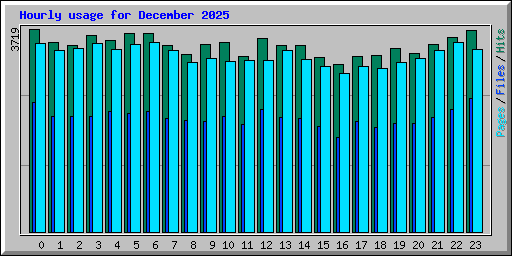 Hourly usage for December 2025