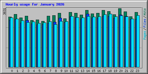 Hourly usage for January 2026