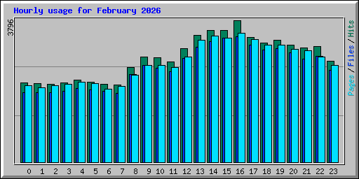 Hourly usage for February 2026