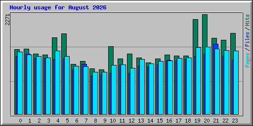 Hourly usage for August 2026
